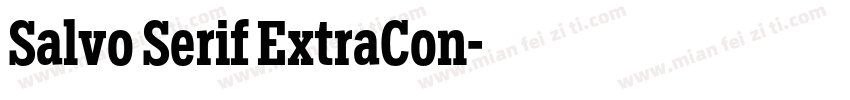 Salvo Serif ExtraCon字体转换